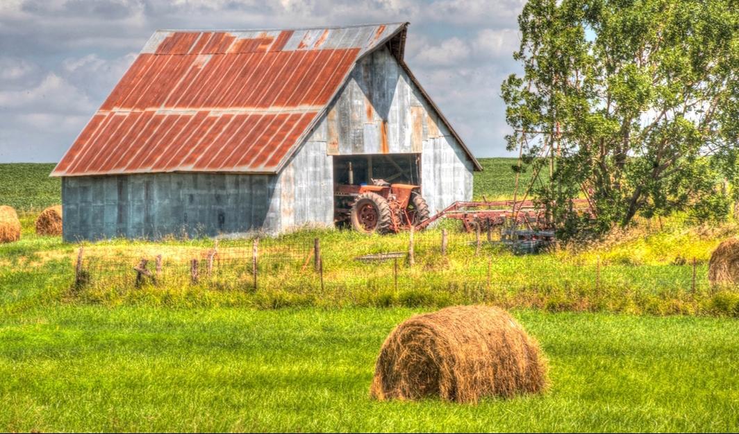 Vad vi kan få i livet är begränsat. Att arbeta inom ramarna för våra förmågor och inte önska mer än nödvändigt ger en känsla av frihet. Foto: Cat Rooeny