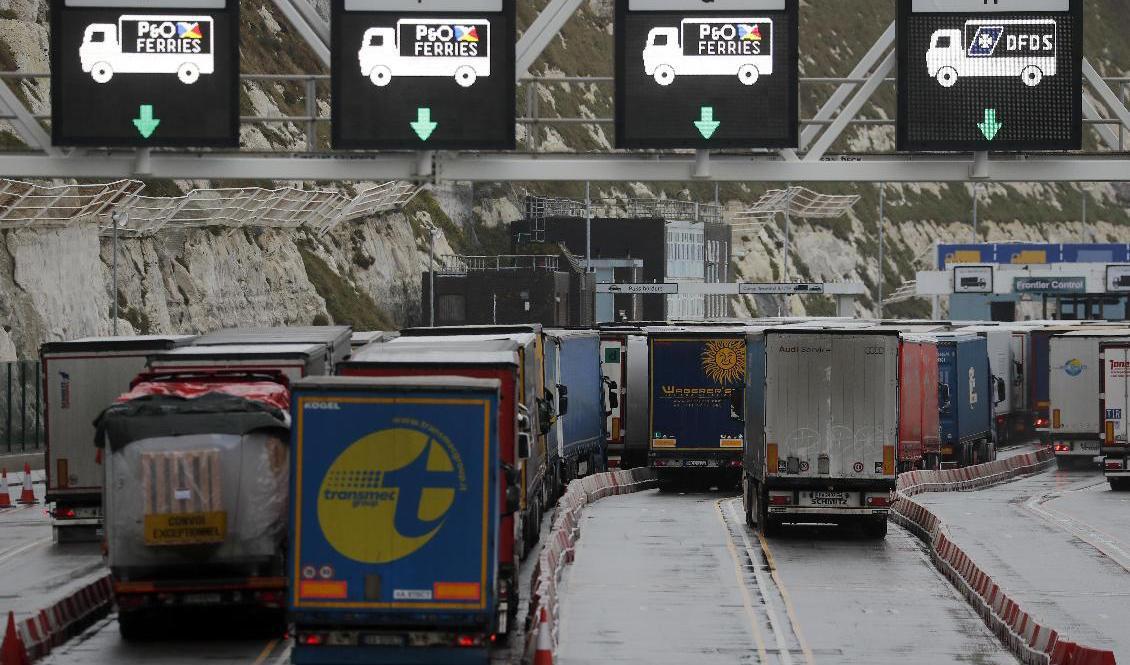 
Det råder en akut brist på lastbilschaufförer i EU, varnar branschfolk. Arkivbild. Foto: Frank Augstein AP/TT                                            