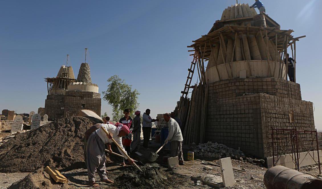 Yazidier i Irak återuppbygger ett tempel i utkanterna av Mosul som förstörts av terrorgruppen IS. Arkivbild. Foto: Khalid Mohammed/AP/TT