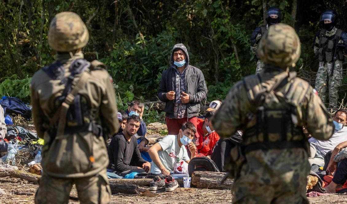 
Polska och belarusiska gränsvakter bredvid migranter från Afghanistan i samhället Usnarz Gorney i nordöstra Polen i närheten av gränsen till Belarus den 20 augusti 2021. Foto: Wojtek Radwanski/AFP via Getty Images                                            