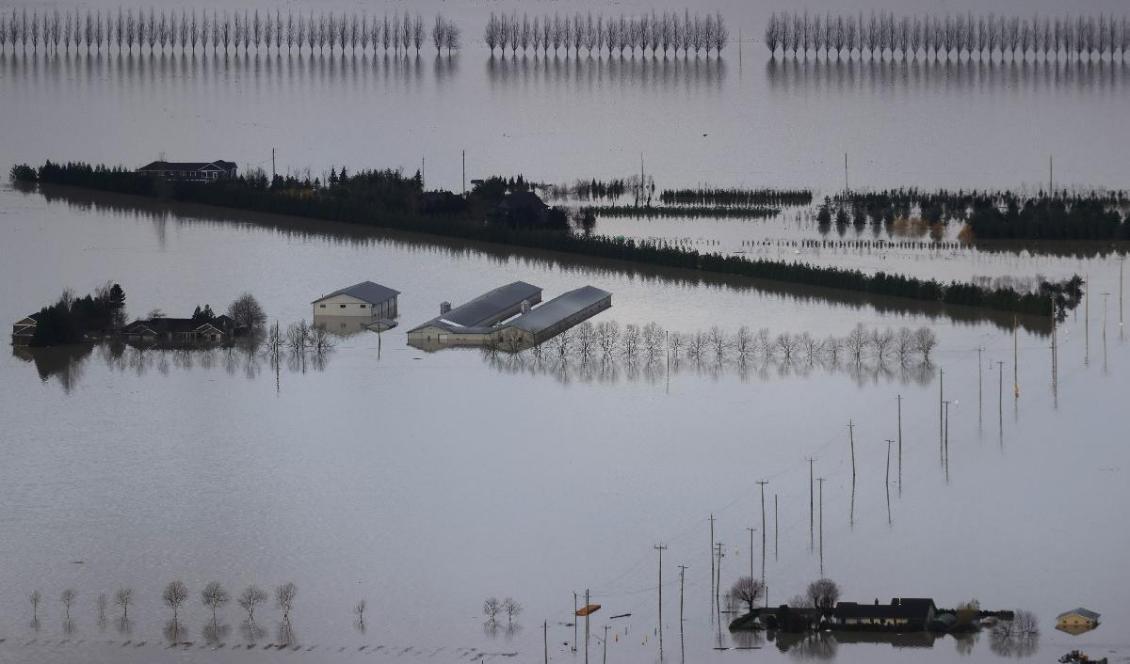 




Översvämningar runt bostäder och lantbruk i Abbotsford i den kanadensiska provinsen British Columbia. Foto: Justin Sullivan/Getty Images                                                                                                                                                                                                                            