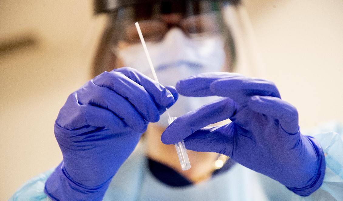 Från och med nästa vecka ska även vaccinerade testa sig för covid-19 om de får symptom. Foto: Adam Ihse / TT