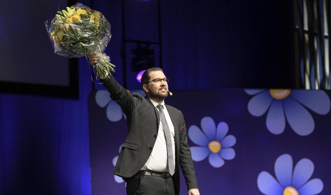 Sverigedemokraternas partiledare Jimmie Åkesson. Foto: Tommy Pedersen/TT