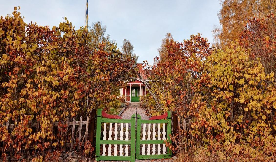 ”Då vi är fattigpensionärer utan bil, verksamma i ett torp beläget mellan skog och fält, har texterna ibland handlat om lantliga saker.” Foto: Shutterctock