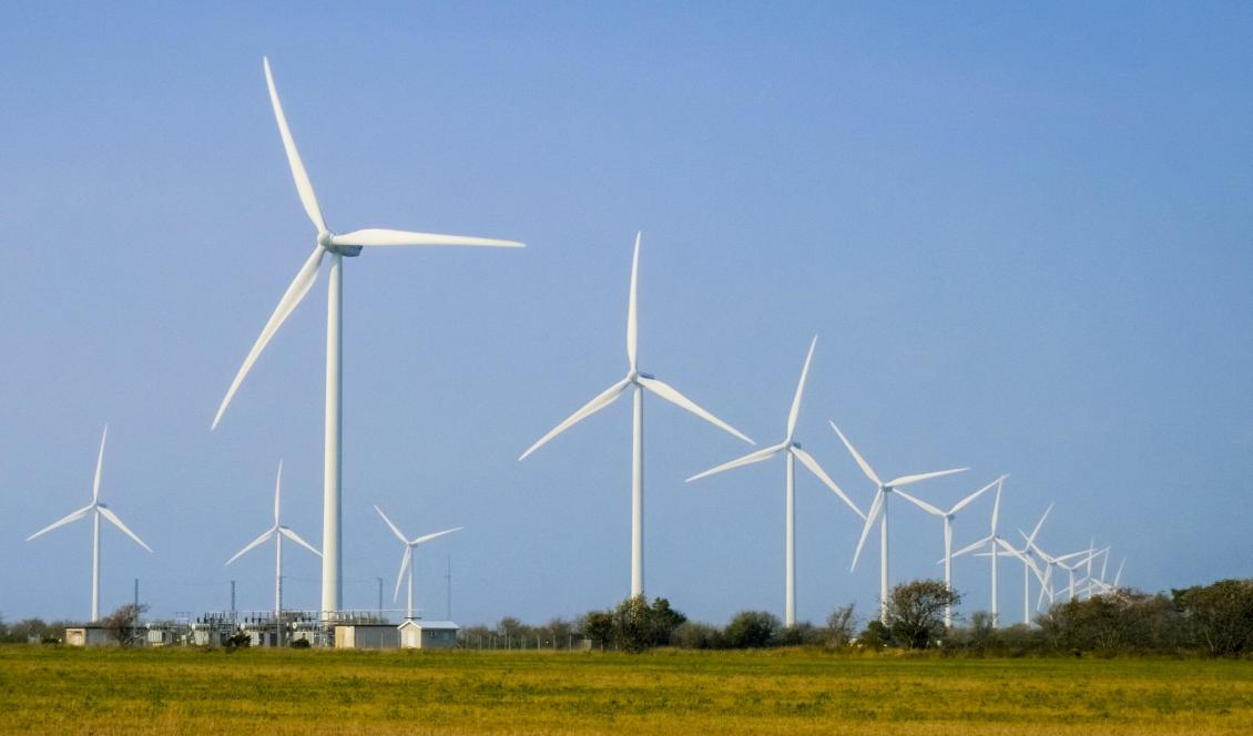Ett franskt par vann en juridisk kamp efter att de hävdat att de fått dålig hälsa på grund av vindkraftverk i närheten av deras hem. Foto: Bilbo Lantto