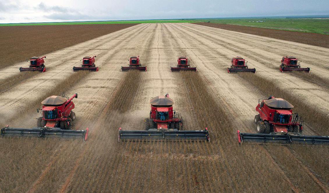 Sojaodling i delstaten Mato Grosso i Brasilien. Stora savannområden i landet har gått förlorade de senaste åren. Arkivbild. Foto: YASUYOSHI CHIBA/AP