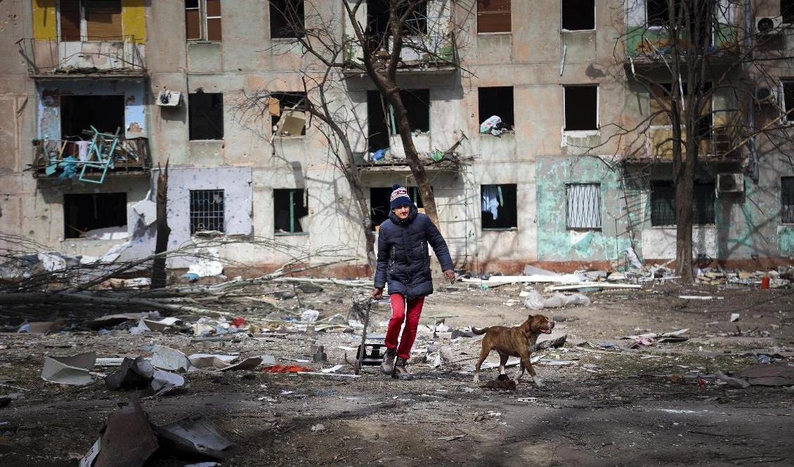 En man går med sin hund i utkanten av ett sönderskjutet Mariupol. Bilden är tagen i slutet av mars. Foto: Alexei Alexandrov/AP/TT