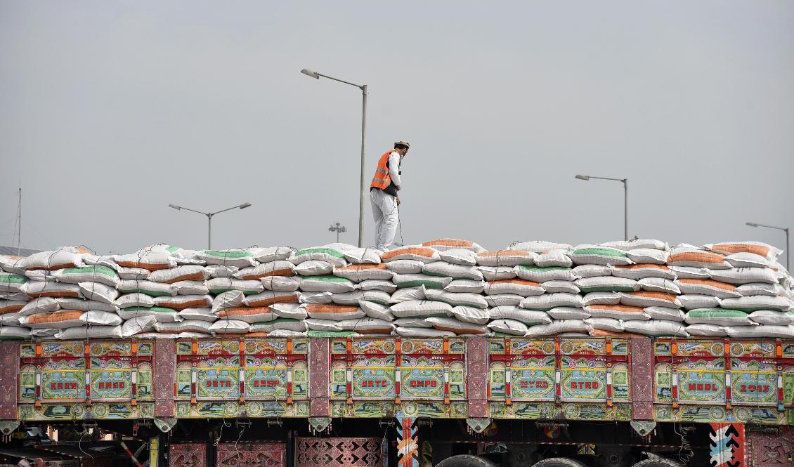 En transport med vete på väg över gränsen mellan Indien och Pakistan. Arkivbild. Foto: Prabhjot Gill/AP/TT