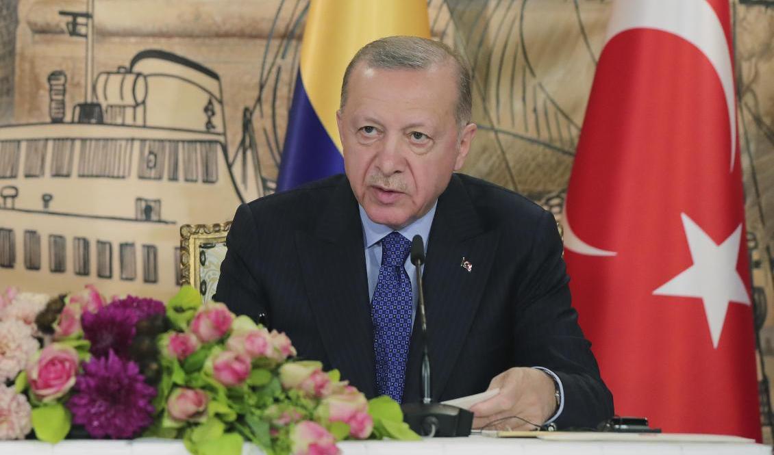 Turkiets president Recep Tayyip Erdogan under en presskonferens på fredagen. Foto: Turkiets presidentkansli via AP/TT