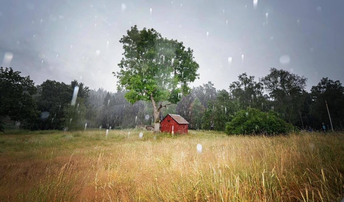 Det blir klassiskt svenskt sommarväder de kommande dagarna, med plats för sol, regn och moln. Foto: Stina Stjernkvist/TT