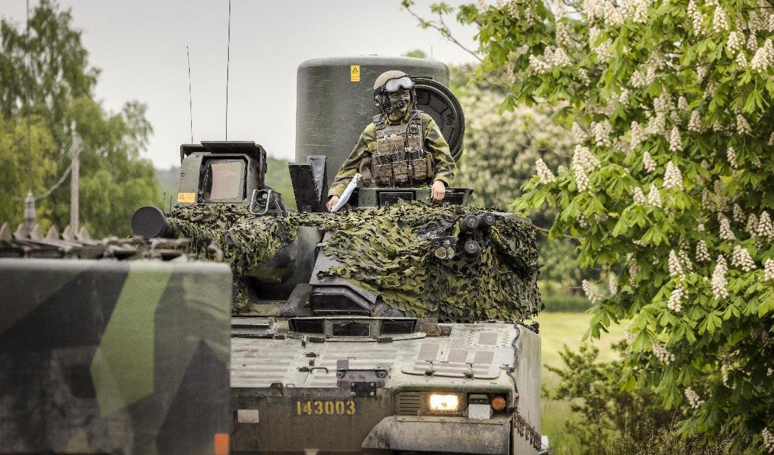 Natoförband övar landstigningsövning i samband med övningen Baltops 22 på Gotland. Arkivbild. Foto: Karl Melander /TT