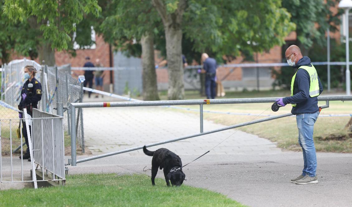Polisen var under fredagsförmiddagen kvar på platsen för skottlossning i Heleneholm i Malmö. Den skjutne yngre mannen avled senare av sina skador. Foto: Andreas Hillergren/TT