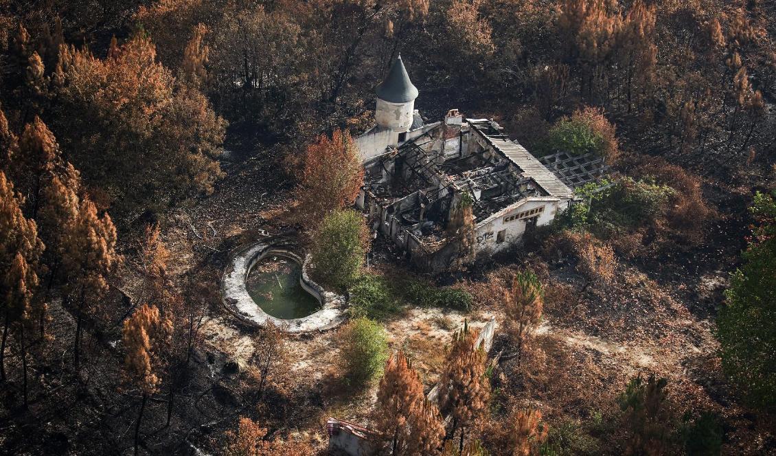 


En flygbild tagen den 29 juli 2022 visar skadorna efter bränder nära Landiras i sydvästra Frankrike. Foto: Thibaud Moritz/AFP via Getty Images                                                                                                                                    
