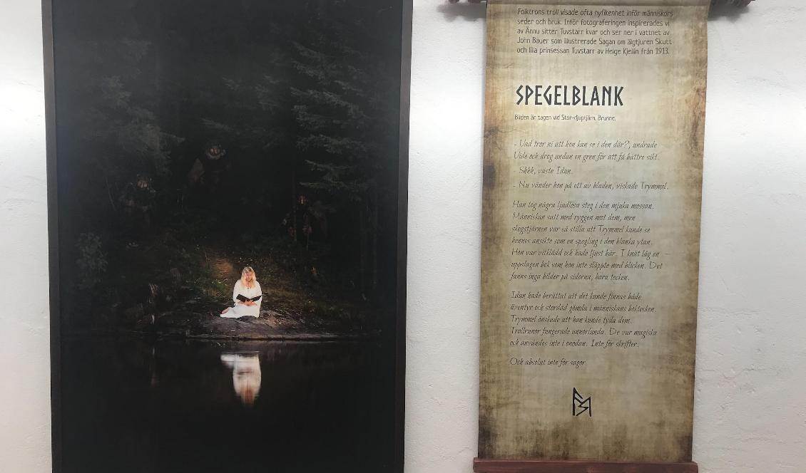 Ett foto från utställningen Trolsk. I texten till höger får man följa trollens reflektioner över vad den läsande människan gör. Foto: Anton Nilsson