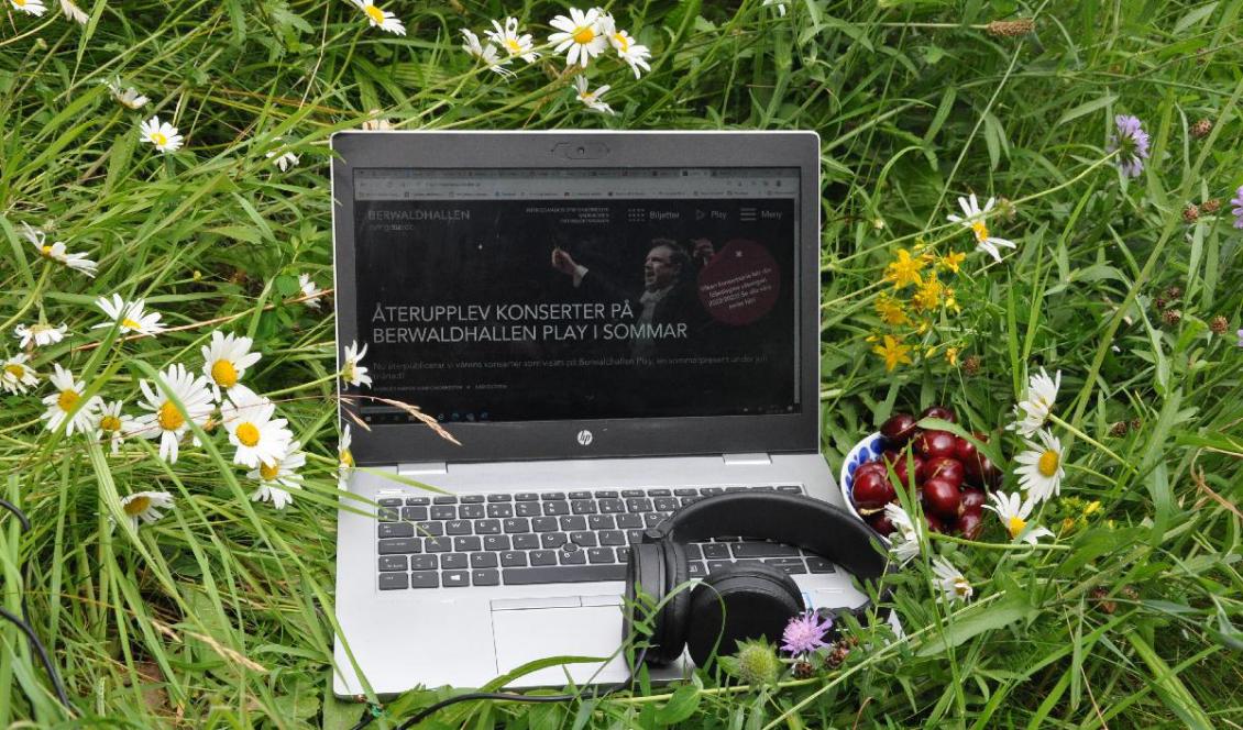 Vill du lyssna in dig på klassisk musik finns många fina möjligheter till förkovran via de många webbplatserna som strömmar musik. Foto: Jenny Ljungkvist