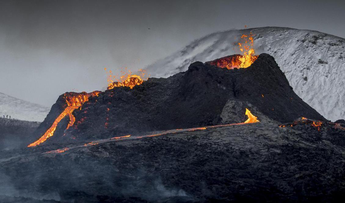 Vulkanen Geldingadalur, som ligger nära huvudstaden Reykjavik, vid ett utbrott den 24 mars 2021. Foto: Marco Di Marco/AP