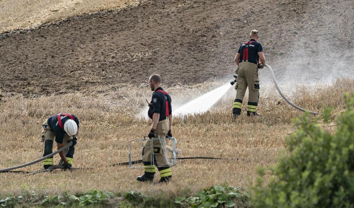 Räddningstjänsten under släckningen av en gräsbrand i södra Sverige förra sommaren. Arkivbild. Foto: Johan Nilsson/TT