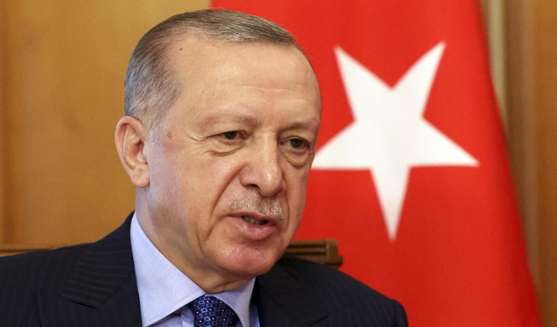 Regeringen utlämnar en turkisk medborgare men det är obekräftat om det är en av de personer som Turkiets president Erdogan begärt utlämnad. Arkivbild. Foto: Vyacheslav Prokofyev/AP/TT