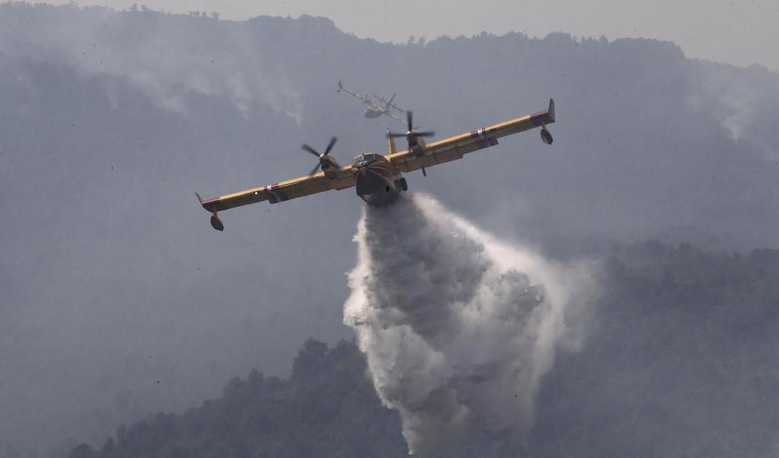 

I fjol fick Algeriet hjälp av ett franskt brandbekämpningsplan vid en skogsbrand. Även den här sommaren rasar skogsbränder i landet. Foto: Toufik Doudou/AP/TT                                                                                        