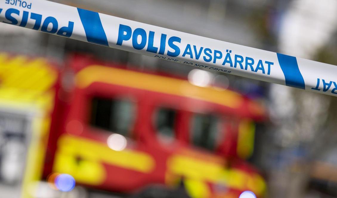 Flera skogsbränder i Karlskrona kommun misstänks vara anlagda. Arkivbild. Foto: Johan Nilsson/TT