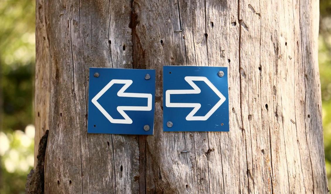 Svänga höger kan bli svårt när "uppemot 70 procent av mediekåren enligt vissa studier sympatiserar med Miljöpartiet eller Vänsterpartiet", Foto: Håkan Stigson