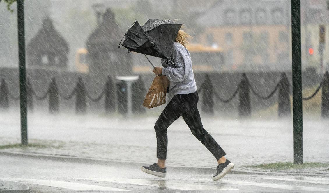 De sista veckorna i september har varit ovanligt regniga. Arkivbild. Foto: Johan Nilsson/TT