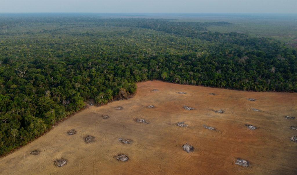 Regnskog avverkas, här i staten Amazonas, Brasilien. Foto: Michael Dantas/AFP via Getty Images