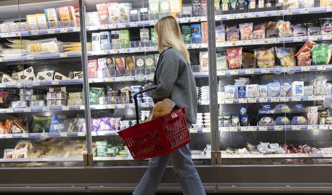 Livsmedel, kläder, skor, hygienartiklar och el ingår i Konsumentverkets beräkning av hushållens kostnader, som nu gjorts inför 2023. Arkivbild. Foto: Fredrik Sandberg /TT
