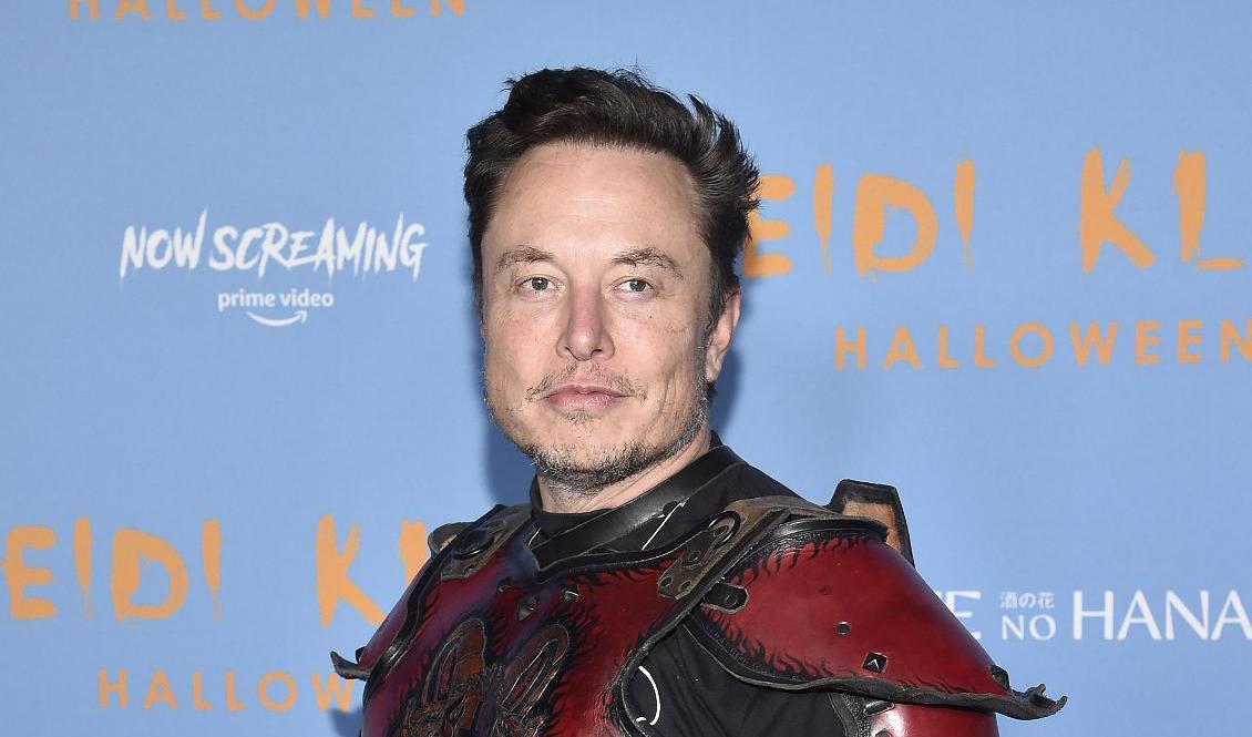 Twitters nye ägare Elon Musk. Arkivbild. Foto: Evan Agostini/Invison/AP/TT