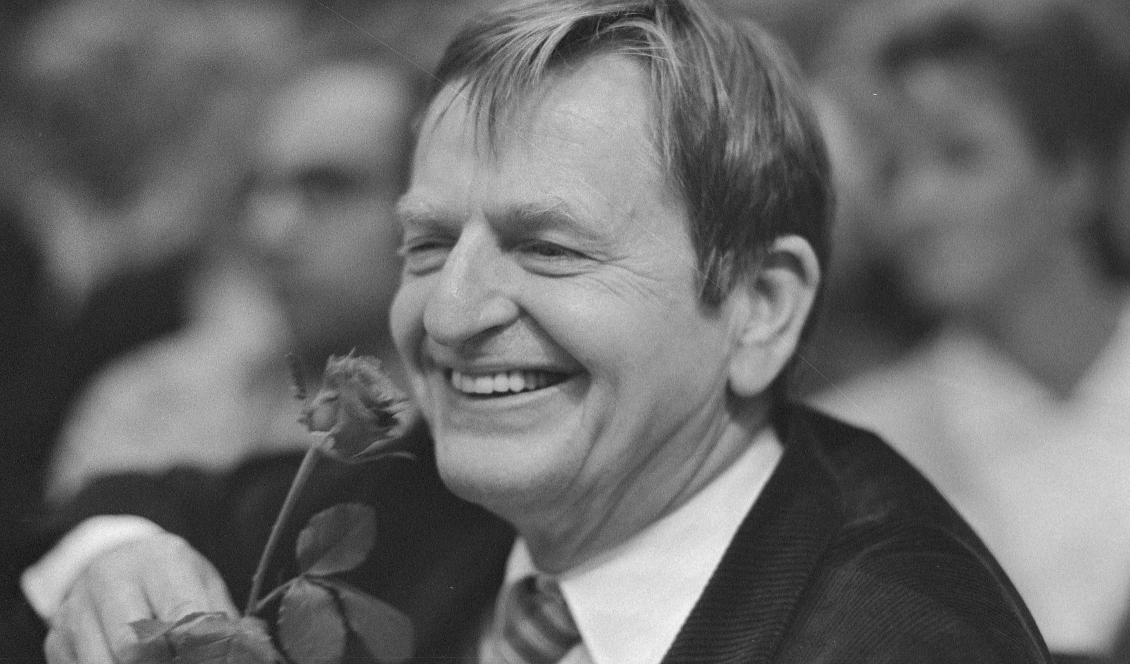Olof Palme var ecklesiastik-/utbildningsminister 1967–1969 och statsminister 1969–1976 och 1982–1986. Fotot är taget 1985. Foto: Firma Hagblom-Foto/Public Domain