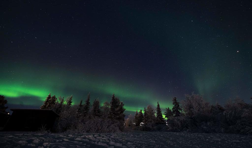 Norrsken (aurora borealis) lyser upp himlen över Jukkasjärvi i Lappland, nära Kiruna, den 20 november 2022. Foto: Jonathan Nackstrand/AFP via Getty Images
