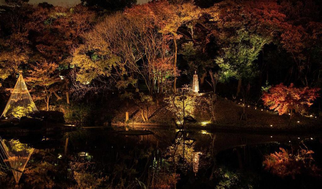 

Höstlöven blir upplysta under en veckolång kvällsvisning för att framhäva de skiftande färgerna på träden i Higo-Hosokawa-trädgården nära floden Kandaf i Bunkyo, en stadsdelskommun i Tokyo. Foto: Richard A. Brooks/AFP via Getty Images                                                                                        