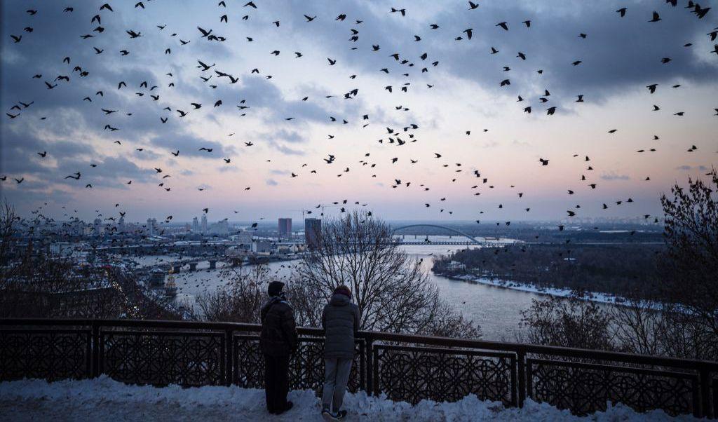 
En flock kråkor flyger över centrala Kiev den 6 december. Med temperaturer som sjunker under nollan har de upprepade ryska attackerna mot Ukrainas energinät upphört. De lämnar el- och vattenförsöjningen till miljoner ukrinare på gränsen till kollaps. Foto: Dimitar Dilkoff/AFP via Getty Images                                            