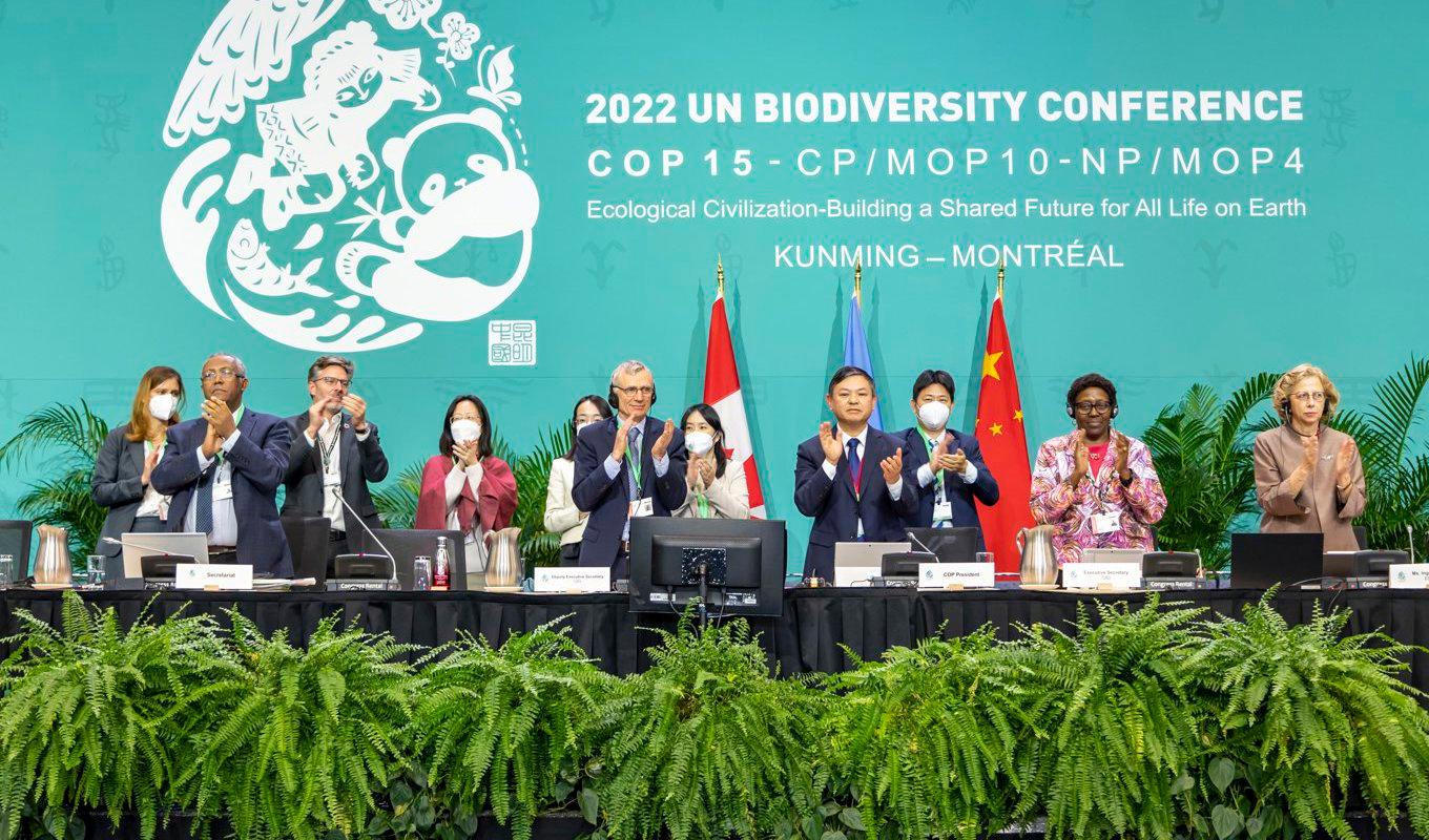 Applåder bröt ut när länderna enades om ett historiskt avtal för naturen. Foto: Julian Haber/COP15/TT