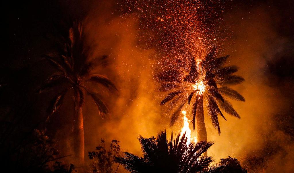 
En skogsbrand har drabbat Vina del Mar-kullarna i Valparaiso-regionen, Chile. Minst två personer har dött och omkring 400 hem har skadats eller förstörts i branden som bröt ut på torsdagen i den chilenska badorten Vina del Mar. Undantagstillstånd är utlyst. Foto: Javier Torres/AFP via Getty Images                                            