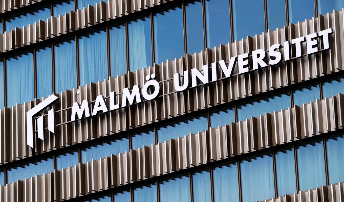 Många anställda på Malmö universitet gick i it-fällan och lämnade ut uppgifter. Arkivbild. Foto: Johan Nilsson/TT