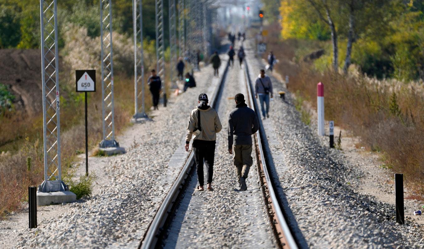 Migranter vandra längs en järnväg nära gränsen mellan Serbien och Ungern. Som ordförandeland i EU:s ministerråd hoppas Sverige på en uppgörelse bland EU:s medlemsländer om asylpolitiken redan i sommar. Arkivfoto. Foto: Darko Vojinovic/AP/TT