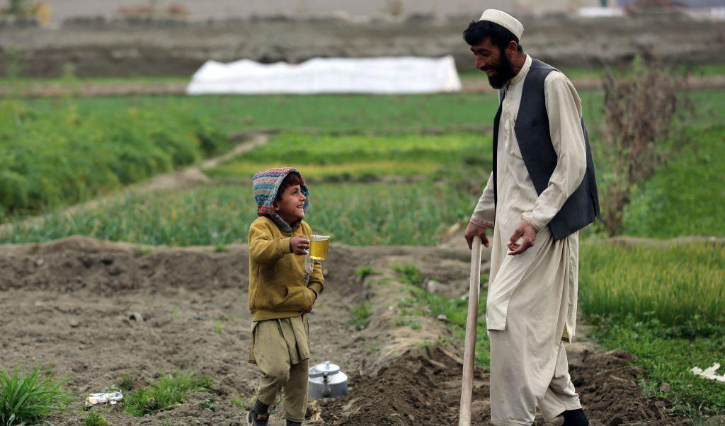 En afghansk bonde blir erbjuden en kopp te av sin son där han arbetar på ett fält i Bati Kot, i Nangarhar provinsen den 12 januari. Foto: Shafiullah Kakar/AFP via Getty Images