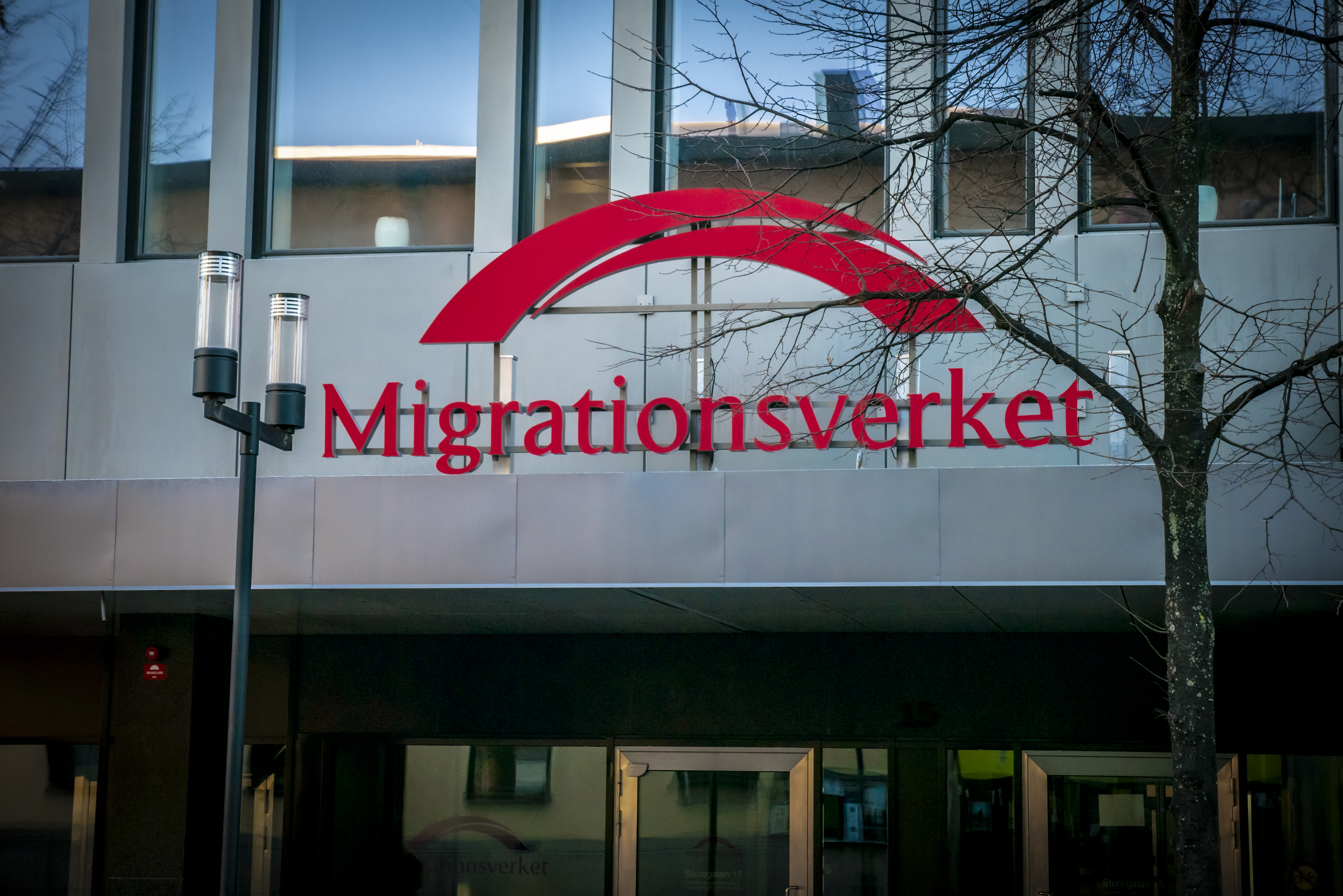 Enligt Migrationsverket väntas cirka 12 000 personer söka asyl i Sverige i år. Foto: Bilbo Lantto