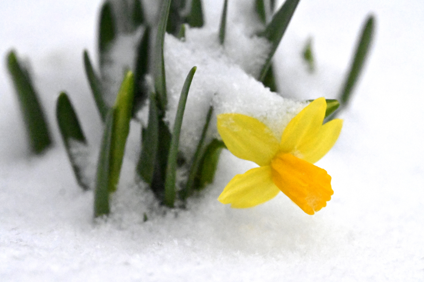 Snö väntas i området runt Vättern. Arkivbild Foto: Janerik Henriksson/TT