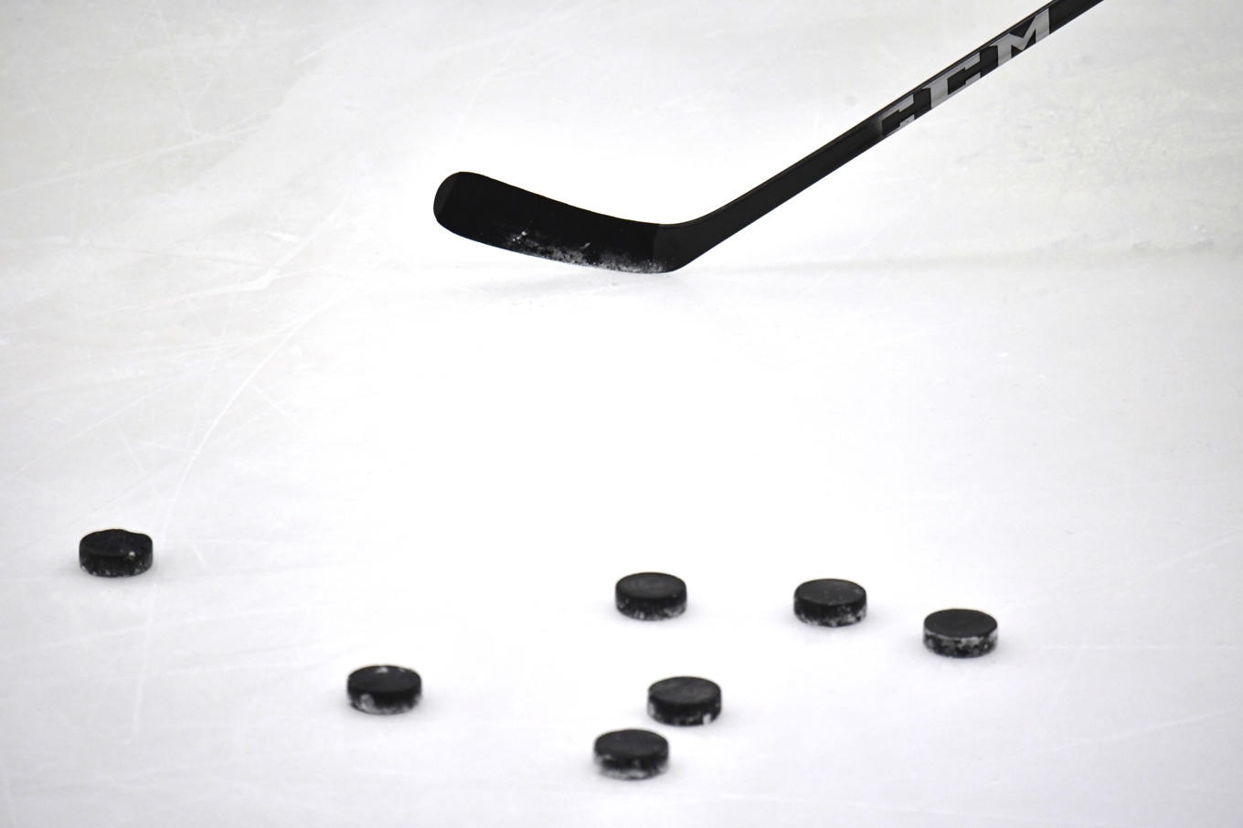 Foto: Janerik Henriksson/TT