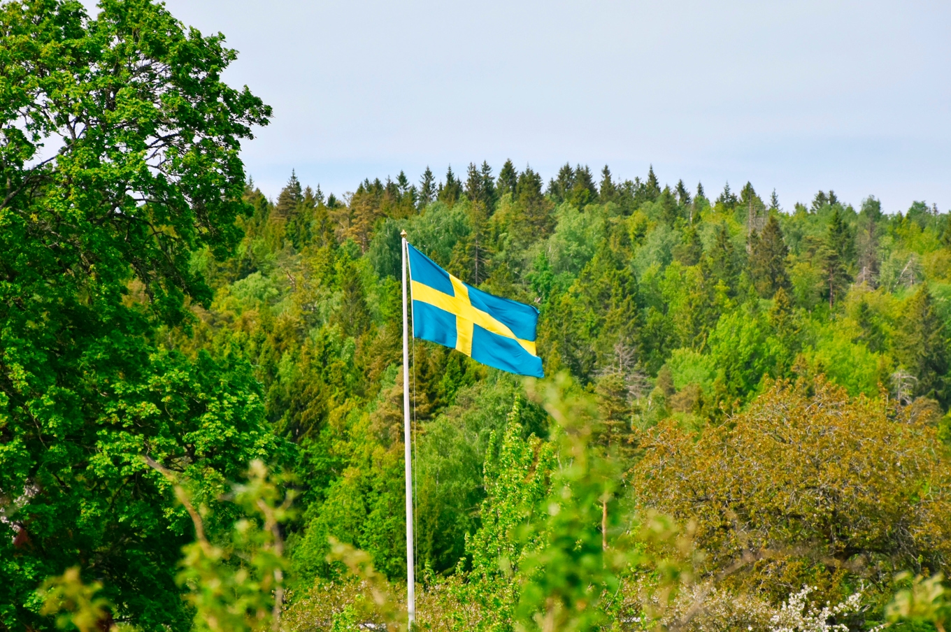 Integration eller assimilation? Mitt svar har genom åren varit: ”Det viktiga är att bli funktionell i Sverige”, skriver Brinkemo. Foto: Nathalia Bohren/Shutterstock