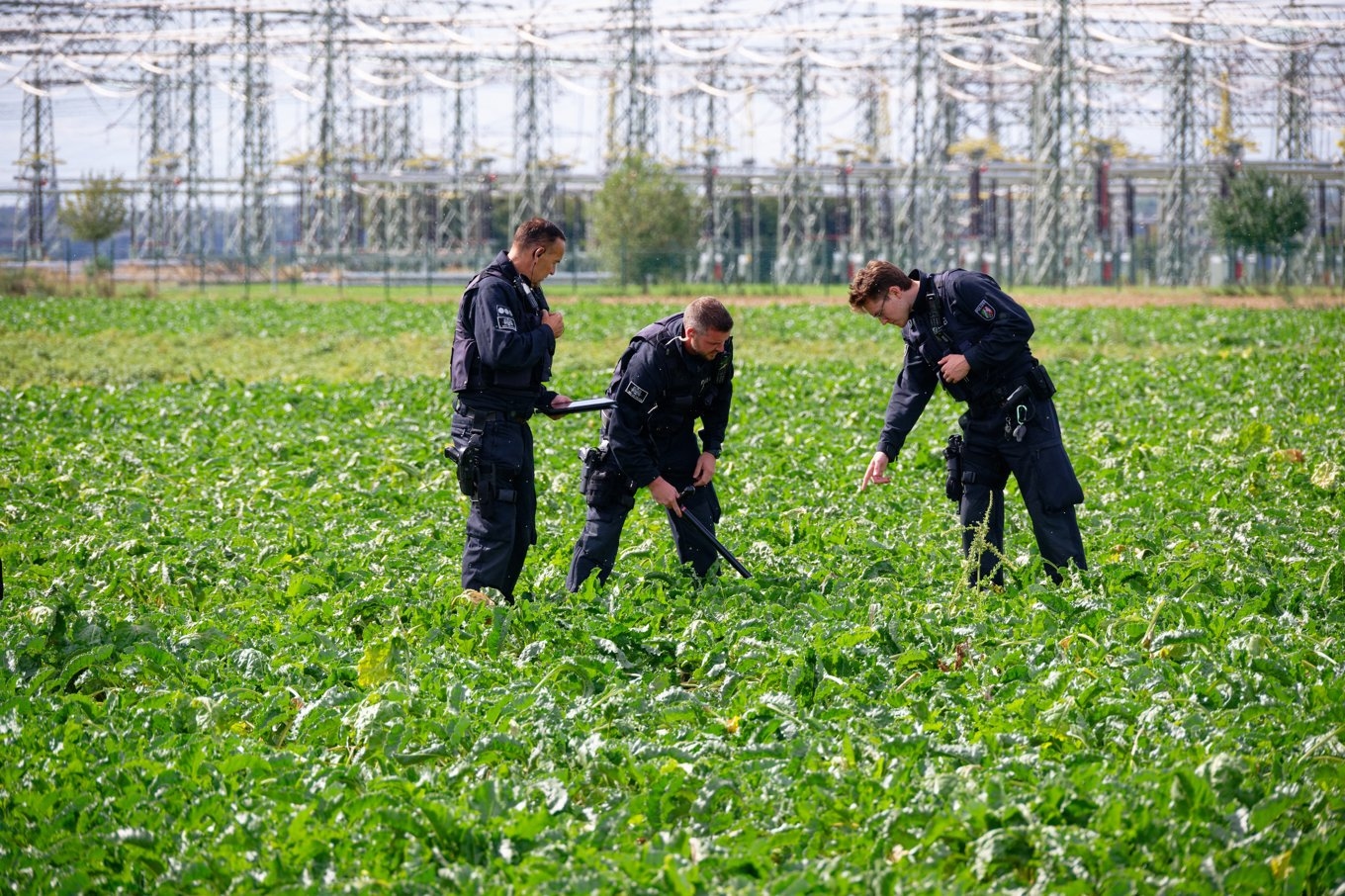 Poliser söker igenom fältet vid transformatorstationen i Bergheim i onsdags. Foto: Henning Kaiser/AP/TT