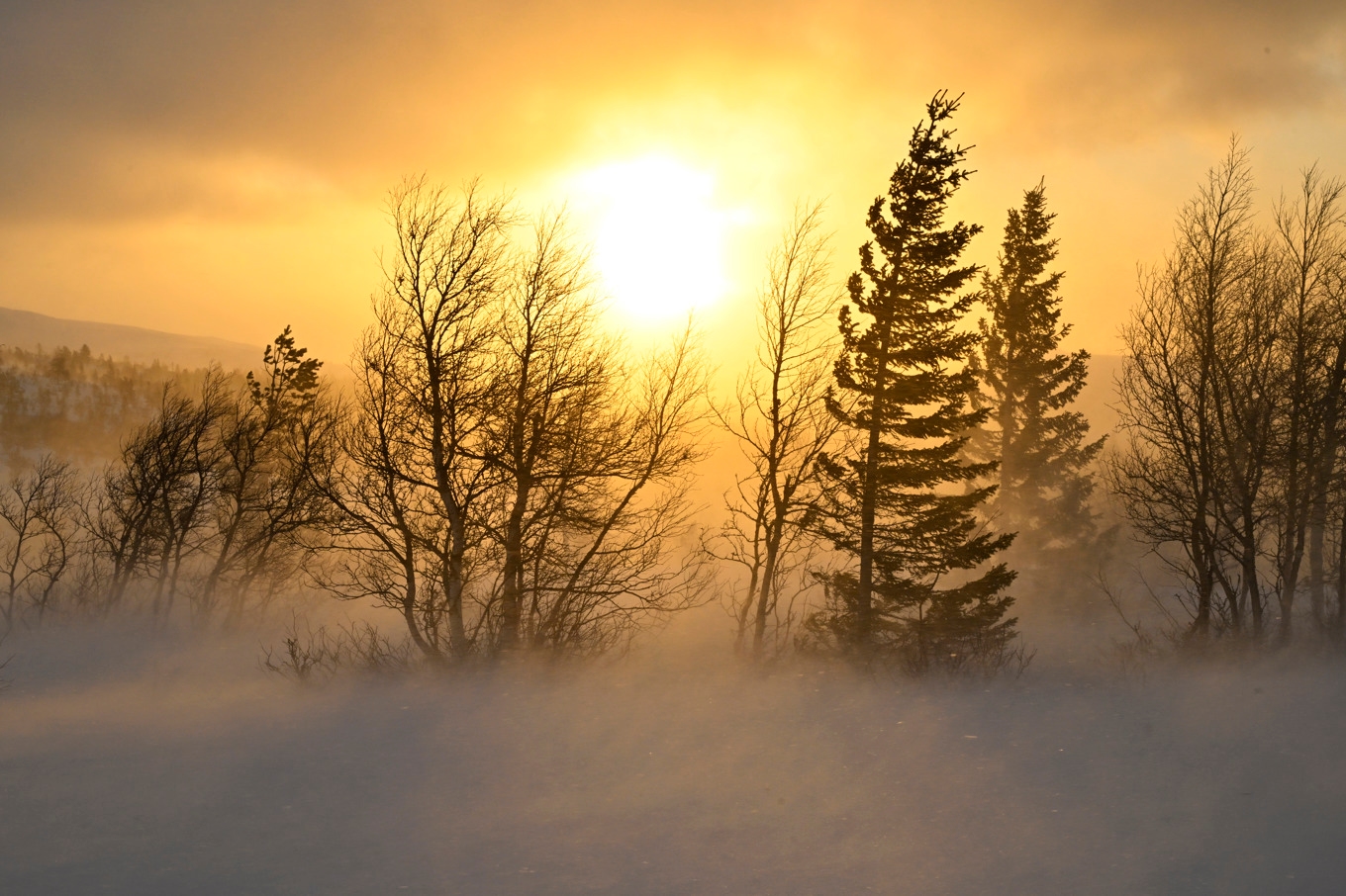 Det väntas mycket hårda vindar och möjligen snöbyar i norra Lapplandsfjällen. Arkivbild. Foto: Nisse Schmidt/TT