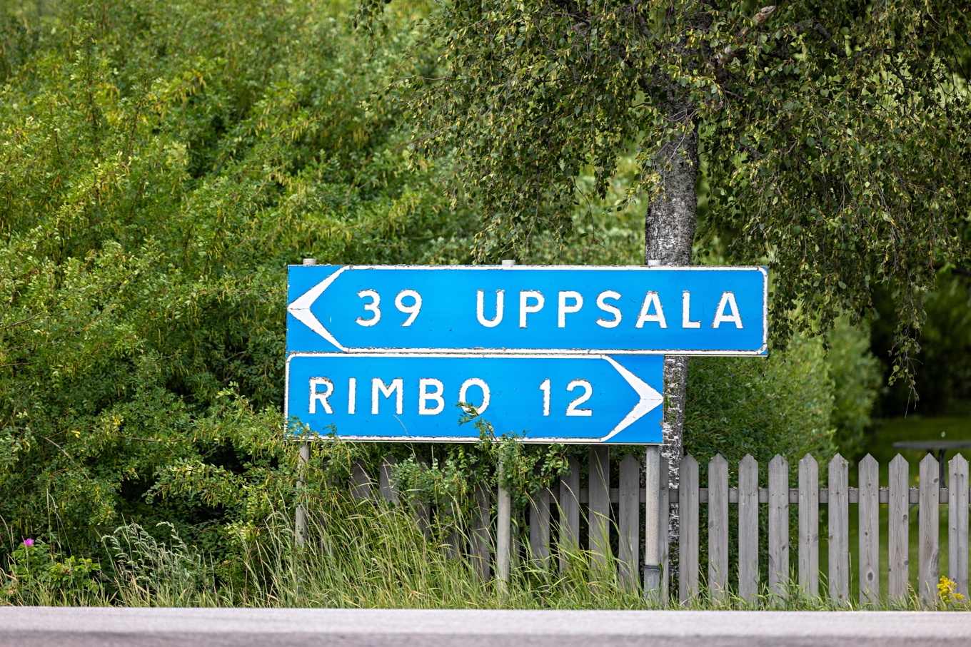 Vägskyltar i Norrtälje kommun. Arkivbild. Foto: Ali Lorestani/TT