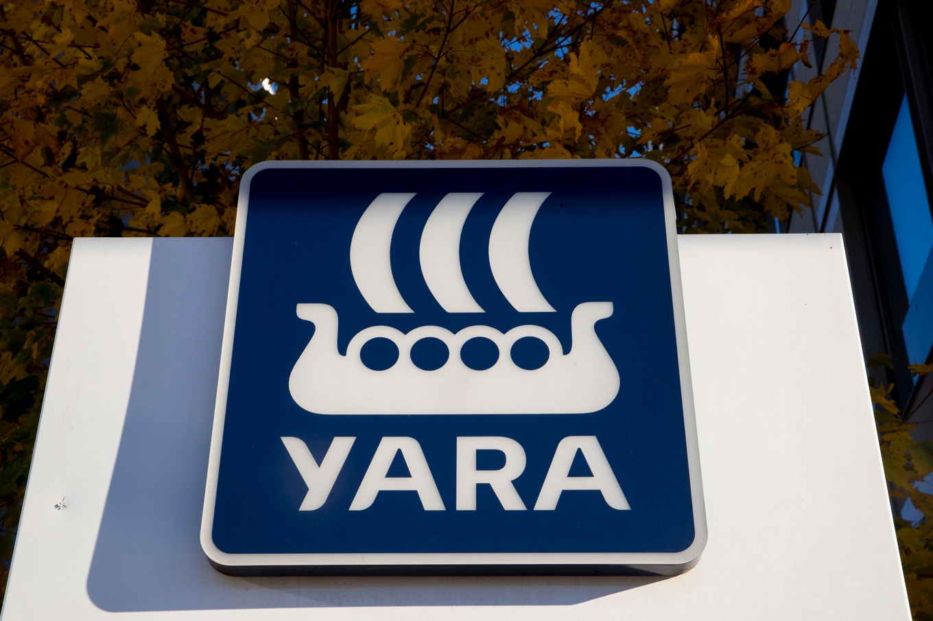 Höga gaspriser pressar gödselbjässen Yaras vinst. Arkivbild Foto: Vidar Ruud NTB/TT